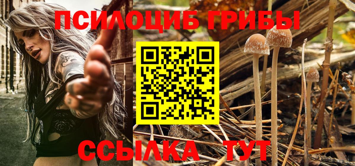 Псилоцибиновые грибы мухоморы  Вход с VPN  Дзержинск  Псилоцибиновые грибы мицелий 